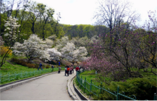  National University Botanic Garden